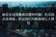 麻豆在线观看麻豆模特炸裂！吃瓜网点击揭秘，热议网红内幕真相让人瞠目