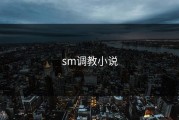 sm调教小说