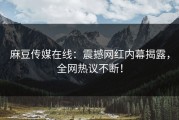 麻豆传媒在线：震撼网红内幕揭露，全网热议不断！
