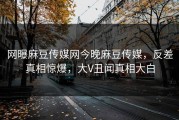 网曝麻豆传媒网今晚麻豆传媒，反差真相惊爆，大V丑闻真相大白