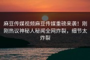 麻豆传媒视频麻豆传媒重磅来袭！刚刚热议神秘人秘闻全网炸裂，细节太炸裂