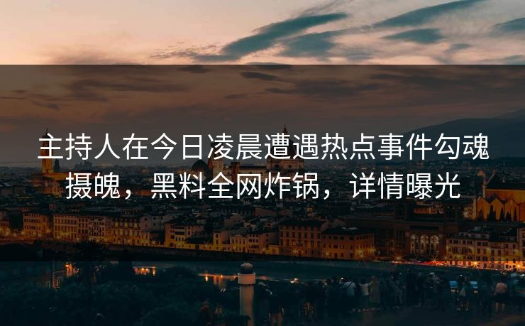 主持人在今日凌晨遭遇热点事件勾魂摄魄，黑料全网炸锅，详情曝光