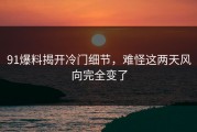 91爆料揭开冷门细节，难怪这两天风向完全变了