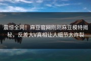 震惊全网！麻豆官网刚刚麻豆模特揭秘，反差大V真相让人细节太炸裂
