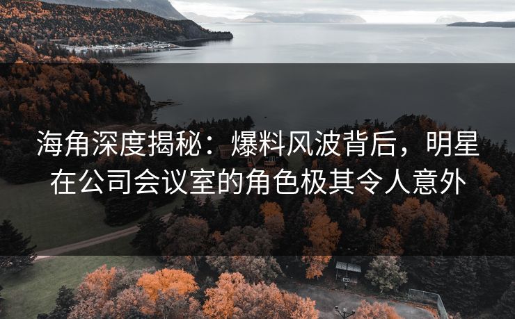 海角深度揭秘：爆料风波背后，明星在公司会议室的角色极其令人意外