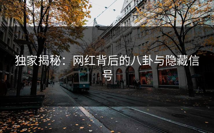 独家揭秘：网红背后的八卦与隐藏信号
