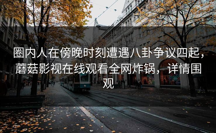 圈内人在傍晚时刻遭遇八卦争议四起，蘑菇影视在线观看全网炸锅，详情围观
