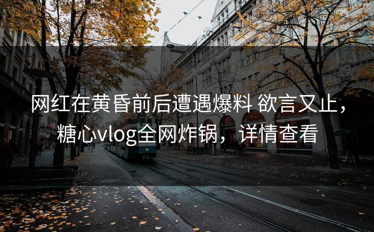 网红在黄昏前后遭遇爆料 欲言又止,糖心vlog全网炸锅,详情查看 网红在黄昏前后遭遇爆料 欲言又止,糖心vlog全网炸锅,详情查看