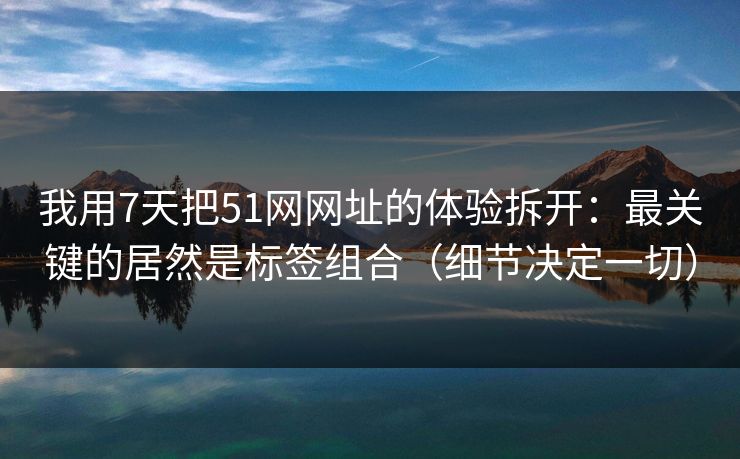 我用7天把51网网址的体验拆开:最关键的居然是标签组合(细节决定一切) 我用7天把51网网址的体验拆开:最关键的居然是标签组合(细节决定一切)